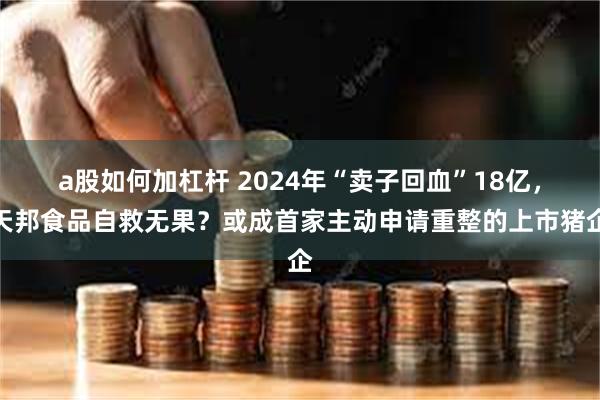 a股如何加杠杆 2024年“卖子回血”18亿，天邦食品自救无果？或成首家主动申请重整的上市猪企