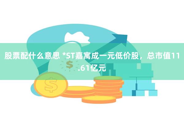 股票配什么意思 *ST嘉寓成一元低价股，总市值11.61亿元