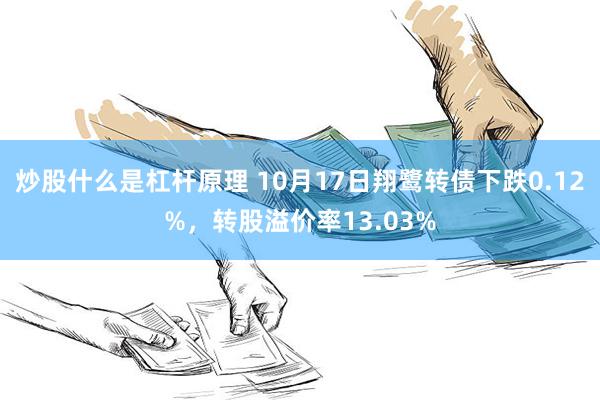 炒股什么是杠杆原理 10月17日翔鹭转债下跌0.12%，转股溢价率13.03%