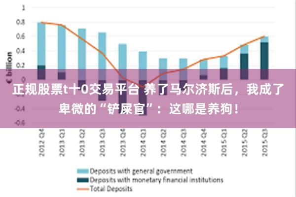 正规股票t十0交易平台 养了马尔济斯后，我成了卑微的“铲屎官