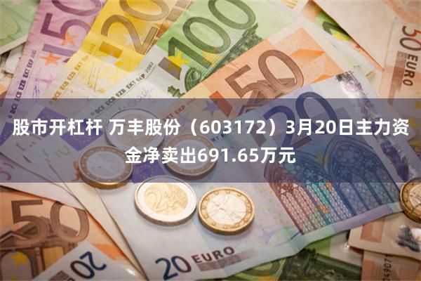   股市开杠杆 万丰股份（603172）3月20日主力资金净卖出691.65万元