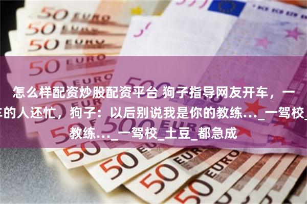   怎么样配资炒股配资平台 狗子指导网友开车，一番操作比开车的人还忙，狗子：以后别说我是你的教练…_一驾校_土豆_都急成