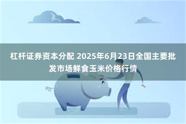   杠杆证券资本分配 2025年6月23日全国主要批发市场鲜食玉米价格行情