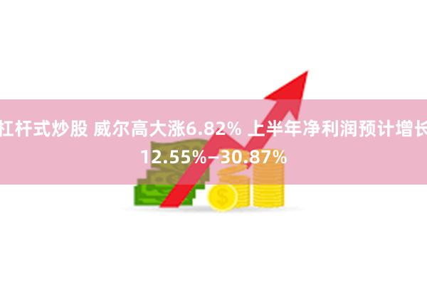   杠杆式炒股 威尔高大涨6.82% 上半年净利润预计增长12.55%—30.87%