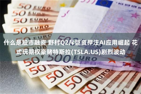   什么是股市融资 野村Q2斥巨资押注AI应用崛起 花式玩期权豪赌特斯拉(TSLA.US)剧烈波动