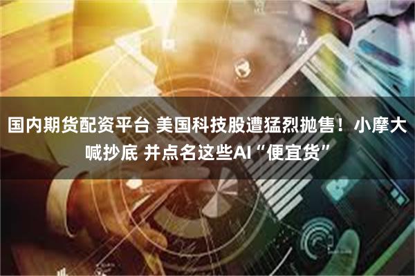   国内期货配资平台 美国科技股遭猛烈抛售！小摩大喊抄底 并点名这些AI“便宜货”