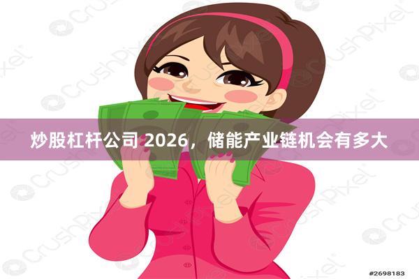   炒股杠杆公司 2026，储能产业链机会有多大